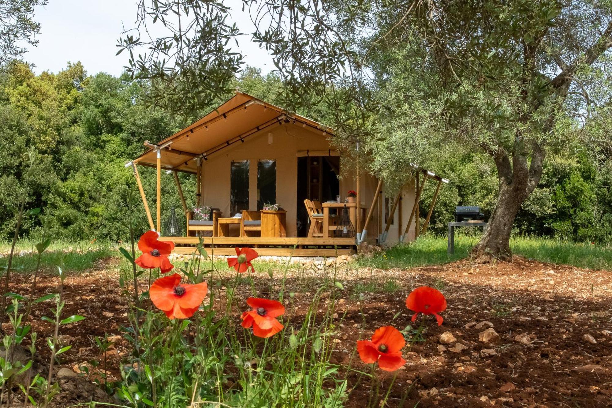 Domus Olea Glamping Ceglie Messapica Exterior foto